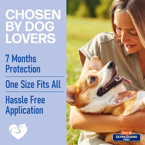 هارتز Ultraguard Pro Reflect Reflected Flea و Trick Collar للكلاب والجراء ، و 7 أشهر من الوقاية من القراد لكل طوق ، و 1 in Kuwait