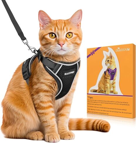 HALIPET CAT HARNESS and LESHH SET - MAX Safety Gen Gen upgrade ، Escape Proof ، قابلة للتعديل ، ستار in Kuwait