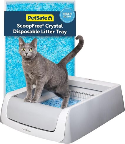 PetSafe Scoop Crystal Pro Automatic Cleaning Cat Cat Box (27.6x19.1x16) ، ويأتي مع 1 صينية القمامة التي يمكن التخلص منها (رمادي) in Kuwait