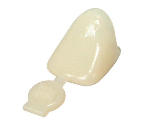 Directa 609220 Polycarbonate Dental Crowns #20 5/Pk in Kuwait
