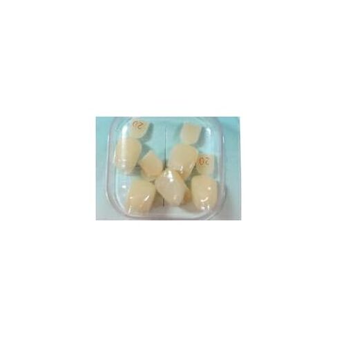Directa 609220 Polycarbonate Dental Crowns #20 5/Pk in Kuwait