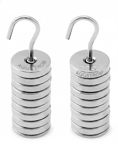Lab Slotted Mass Set, 2 Set of Chromium-Plated Metal Slotted Weights, One Set - Total 100g - Includes 9 Weights (10g Each) & One Hanger (10g) in Kuwait
