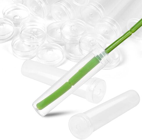 DIYASY 30 Pcs Floral Water Tubes with Caps, Clear Single Plastic Flower Tube Vials for Single Stem Bouquet Roses Buds Making Florist Supplies Propagation Wedding Floral Arrangement in Saudi Arabia