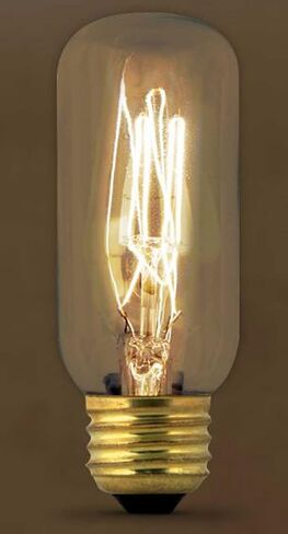 Feit Electric BP60T12/RP 60 W 120 V Tubular 1500 hr Dimmable Vintage Incandescent Lamp in Saudi Arabia