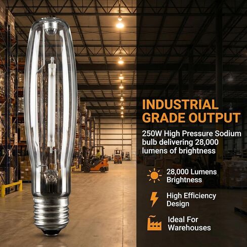 Delyle LU250 250W High Pressure Sodium Bulb, E39 Mogul Base, 28000 Lumens ANSI S50 HPS HID Lamp, 2100K Warm Yellow ET18, 24000H Lifespan, 2 Pack for Warehouse Parking Lot Street Light in Kuwait