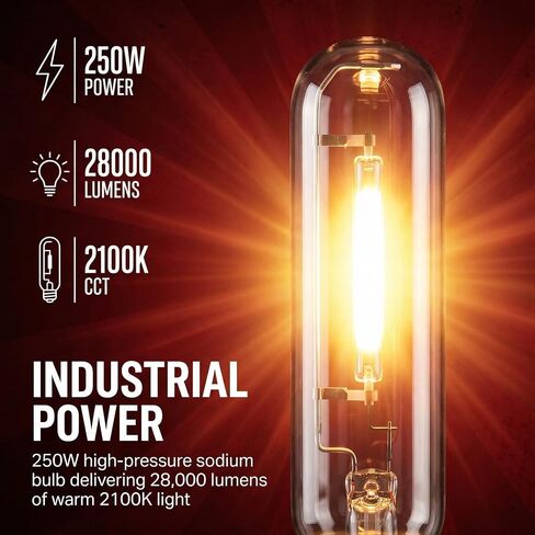 Delyle LU250 250W High Pressure Sodium Bulb, E39 Mogul Base, 28000 Lumens ANSI S50 HPS HID Lamp, 2100K Warm Yellow ET18, 24000H Lifespan, 2 Pack for Warehouse Parking Lot Street Light in Kuwait