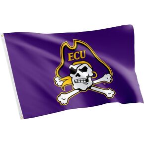 Desert Cactus East Carolina University Flag Pirates ECU Flags Banners 100% Polyester Indoor Outdoor 3x5 (Style 1)