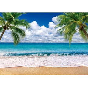 LYCGS 7X5ft Summer Backdrop Tropical Beach Background Blue Sea Backdrop Summer Luau Palm Leaves Ocean Island Seaside Summer Photography Backdrop X-255