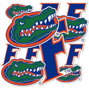 Desert Cactus University of Florida Sticker Gators Stickers Vinyl Decals Laptop Water Bottle Car Scrapbook T1 (Type 1-1)