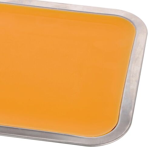 Healeved Multi-Functional Stainless Steel Dissection Tray with Wax Lining, Lightweight Metal Tray for Teaching Purposes and Anatomical Dissection, 21cm X 31cm Orange Wax Dissecting Pan in Kuwait