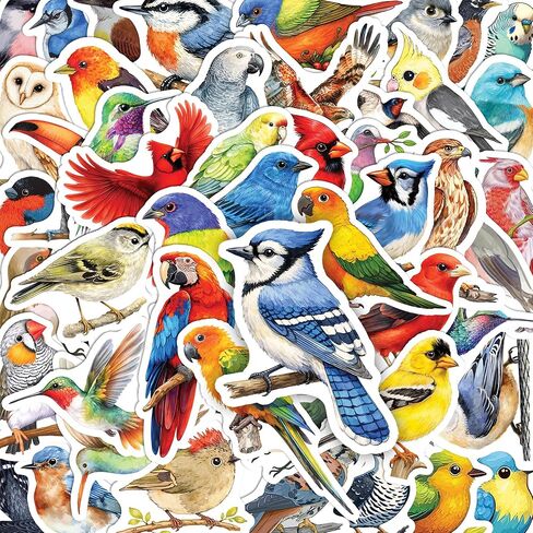 ملصقات Beatri Bird 50pcs ملصقات الطيور المقاومة للماء فينيل لزجاجات المياه ، الكمبيوتر المحمول ، دفتر الملاحظات ، سجل القصاصات ، الأمتعة ، الهاتف الخلوي ، لوح التزلج ، خوذة in Kuwait