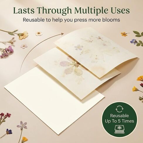 Blotting Paper for Flower Press by Berstuk® • Large A4 Flower Press Paper • Highly Absorbent and Reusable Herbarium Paper • Pack of 10 Blotter Paper Sheets in Kuwait