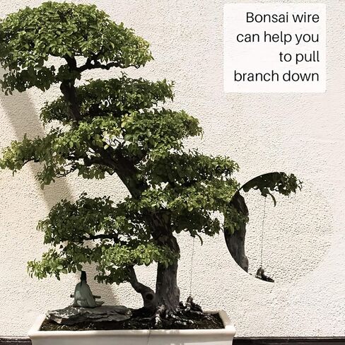 Bonsai Aluminum Wire 250G Oxidized, Flexible Metal Craft Wire for Training, Shaping & Floral Crafting​ in Kuwait
