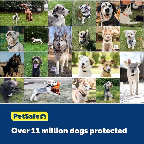 سلك حدود PetSafe، بكرة بطول 500 قدم من سلك ألومنيوم مطلي بالنحاس مقاس 20، لسياج الحيوانات الأليفة الموجود على الأرض، قد تختلف الألوان in Kuwait