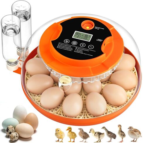 18 Egg Incubators for Hatching Eggs, Automatic Egg Turning and Humidity Control Incubator for Hatch Chicken Duck Quail Pigeon Pheasant Partridge Home Classroom Lab- in Kuwait