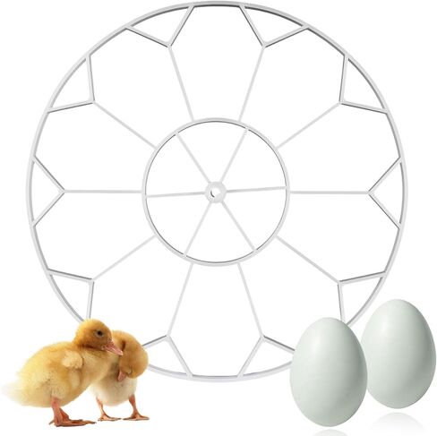 10 Jumbo Eggs JGT360 Goose Egg Tray Compatible with Nurture Right 360 Incubator, Large Goose Egg Turner Tray for Incubating Geese and Other Poultry in Kuwait