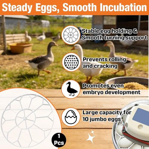 10 Jumbo Eggs JGT360 Goose Egg Tray Compatible with Nurture Right 360 Incubator, Large Goose Egg Turner Tray for Incubating Geese and Other Poultry in Kuwait