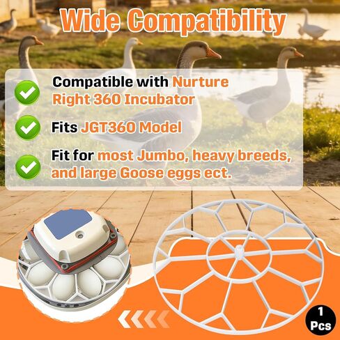 10 Jumbo Eggs JGT360 Goose Egg Tray Compatible with Nurture Right 360 Incubator, Large Goose Egg Turner Tray for Incubating Geese and Other Poultry in Kuwait