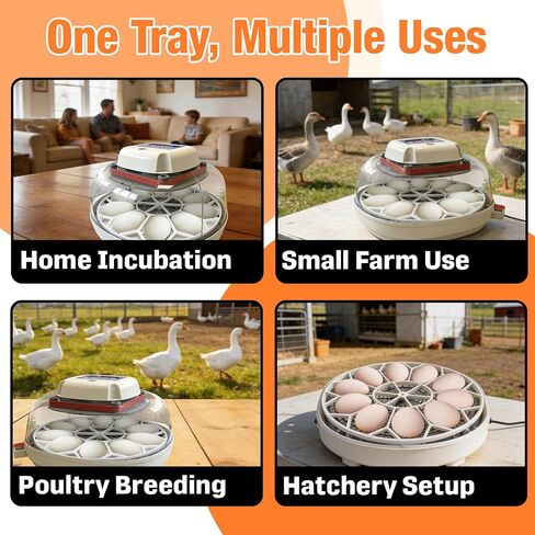 10 Jumbo Eggs JGT360 Goose Egg Tray Compatible with Nurture Right 360 Incubator, Large Goose Egg Turner Tray for Incubating Geese and Other Poultry in Kuwait