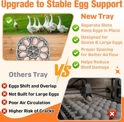 10 Jumbo Eggs JGT360 Goose Egg Tray Compatible with Nurture Right 360 Incubator, Large Goose Egg Turner Tray for Incubating Geese and Other Poultry in Kuwait