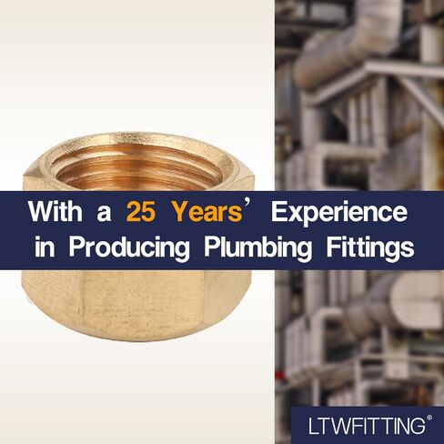 LTWFITTING 5/16 بوصة غطاء ضغط نحاسي غطاء صمام إيقاف، تركيب ضغط نحاسي (عبوة من 10) in Kuwait