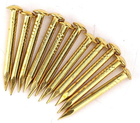 Brass Round Head Nails Brass Escutcheon Pins Brad Nails 100 Pieces 4 Sizes 10mm 15mm 18mm 22mm for Furniture Hinges DIY Antique Decorative (10mm long) in Kuwait