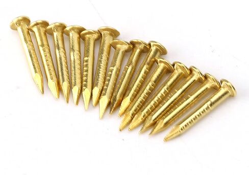 Brass Round Head Nails Brass Escutcheon Pins Brad Nails 100 Pieces 4 Sizes 10mm 15mm 18mm 22mm for Furniture Hinges DIY Antique Decorative (10mm long) in Kuwait