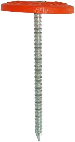 Grip-Rite Plastic Cap Nails - Secure Roofing Underlayments and Housewraps - Electro-Galvanized - 2" - 166 Count/1 Pack - 2PRCAP1 in Saudi Arabia