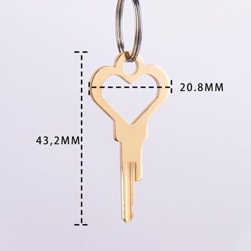 Replace Love Key New Upgrade Locking Mechanism and MagicLocker Key 2 Pack (Gold) in Kuwait