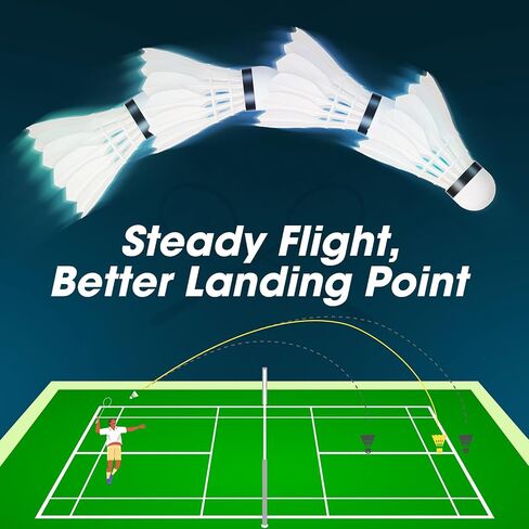 HIRALIY 4/10 Pack Goose Feather Badminton Shuttlecocks, Feather Badminton Birdies with Composite Cork Head, Stable Flight Badminton Balls for Indoor Outdoor Practic, Backyard Games and Clubs in Kuwait