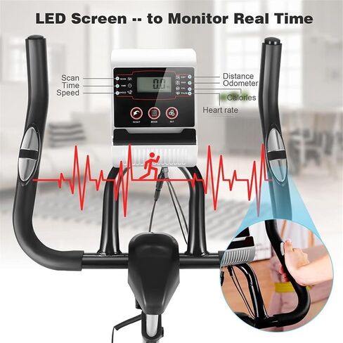 Exercise Bike Carbon Steel Unisex Men and Women Indoor Sunny Health Fitness Cycling Bike Adjustment in Saudi Arabia