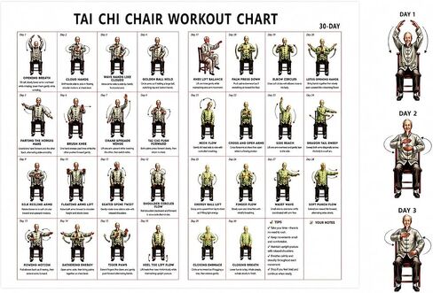 VLFFY Tai Chi Chair Workout Chart-30 Day Chair Tai Chi Exercise for Seniors & Beginners Canvas Wall Art for Home Gym Living Room Bedroom 18 * 12in in Kuwait