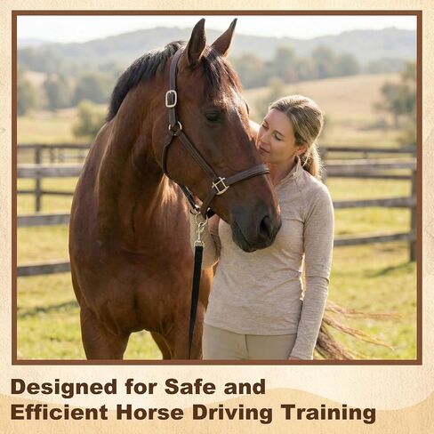 2 Pack Horse Driving Lines, Cotton Web Lunge Line, Solid Brass Trigger Snaps, Reins for Cart Training, Harness, Ground Driving, Horse Work in Kuwait