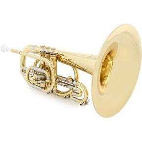 Eastman EMP304 Marching Mellophone - Lacquer in Saudi Arabia