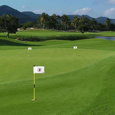 126th US Open Shinnecock Hills Golf Club Golf Pin Flag Practic Putting Green Golf Flag For Backyard Garden Double-Sewn 420D Nylon Miniature Regulation Tube Flag (8"x6") in Kuwait