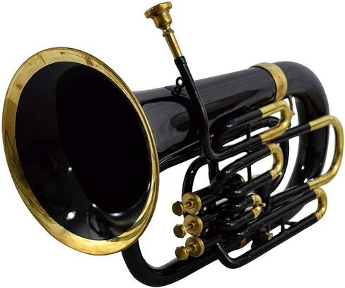 Nasir Ali Bb Euphonium Black 4 Valve in Kuwait