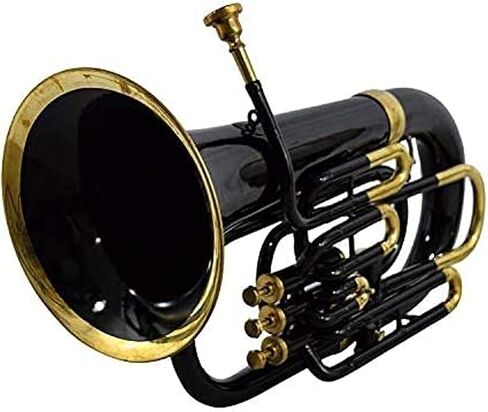 Nasir Ali Bb Euphonium Black 4 Valve in Kuwait