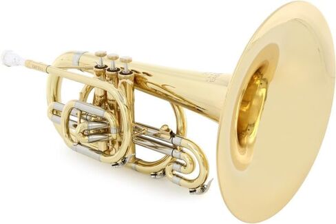 Eastman EMP304 Marching Mellophone - Lacquer in Saudi Arabia