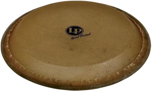 Latin Percussion LP274D 14-Inch Galaxy Super Rawhide Tumba Conga Head in Kuwait