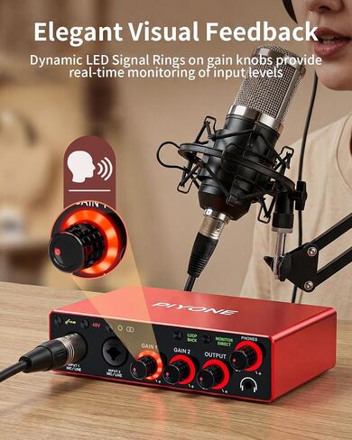 Audio Interface, 2X2 24-bit/192kHz Interface for High-Fidelity, Studio Quality PC/Mac/iOS Recording, XLR/TRS Combo Input, Monitor Mix/Loopback Function, One-Cable Setup(Alloy Red) in Kuwait