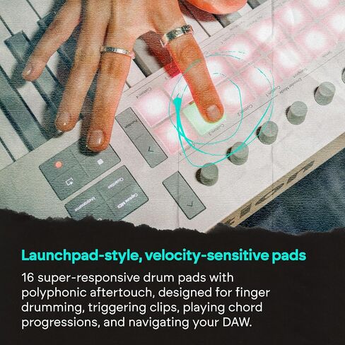Novation Launchkey 61 MK4 White - 61 مفتاح شبه مرجح، وحدة تحكم لوحة المفاتيح MIDI - تكامل DAW. الأوتار والموازين، وسادات الطبول، وARP، وبرامج إنشاء الموسيقى in Kuwait