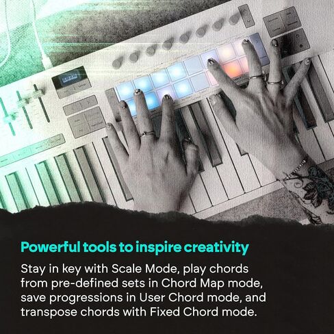 Novation Launchkey 61 MK4 White - 61 مفتاح شبه مرجح، وحدة تحكم لوحة المفاتيح MIDI - تكامل DAW. الأوتار والموازين، وسادات الطبول، وARP، وبرامج إنشاء الموسيقى in Kuwait