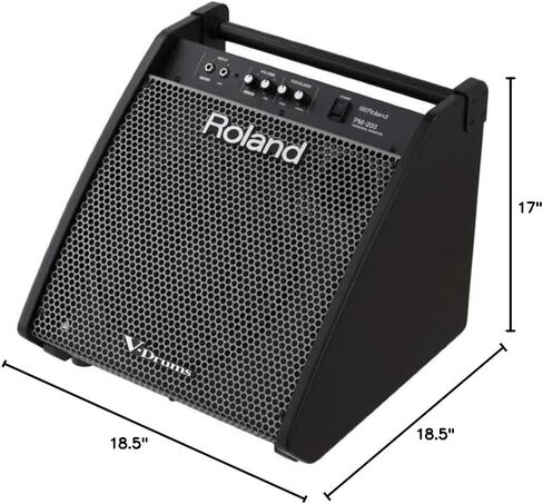 Roland PM-200 Personal 180-Watt Drum Monitor Bundle with Headphones and Patch Cable in Kuwait