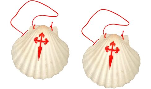 Camino de Santiago Scallop Shell (صدفة الحاج) - صنع في إسبانيا! 4-5 بوصة in Kuwait