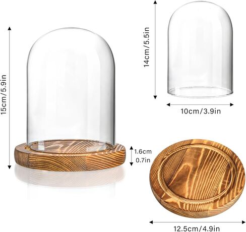 Glass Display Dome Cloche with Wooden Base Clear Decorative Glass Dome Display for Plants,Heirlooms,Present(5.19*3.9IN) in Kuwait