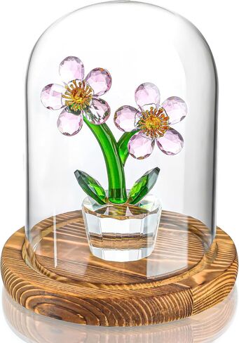 Glass Display Dome Cloche with Wooden Base Clear Decorative Glass Dome Display for Plants,Heirlooms,Present(5.19*3.9IN) in Kuwait
