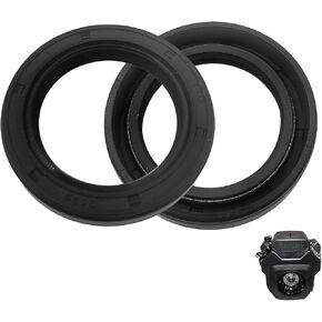 deawater Oil Seal 24 032 19-S 055-600, Compatible with Kohler CH18, CH20 Engines - Replaces 2-Pack in Kuwait