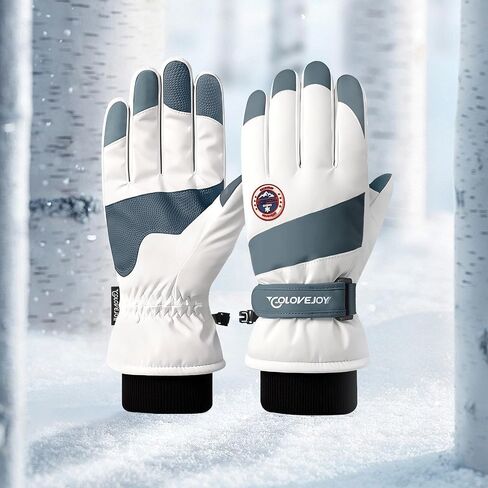 Winter Ski Snow Gloves for Men & Women Youth, Touchscreen Warm Snowboard Gloves Waterproof Windproof Thermal Gloves for Cold Weather Driving Biking Skiing in Kuwait