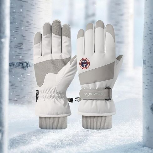 Winter Ski Snow Gloves for Men & Women Youth, Touchscreen Warm Snowboard Gloves Waterproof Windproof Thermal Gloves for Cold Weather Driving Biking Skiing in Kuwait