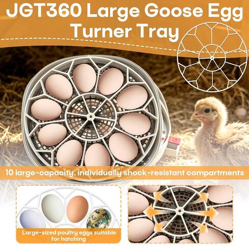 صينية تقليب بيض الأوز الكبيرة JGT360 متوافقة مع أجزاء حاضنة Nurture Right 360، تحمل 10 بيض إوز جامبو، صينية حاضنة البيض المتوافقة مع السلالات الثقيلة للبيض الكبير والثقيل (أبيض) in Kuwait